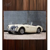 Металлическая табличка Austin Healey 100 (BN2)